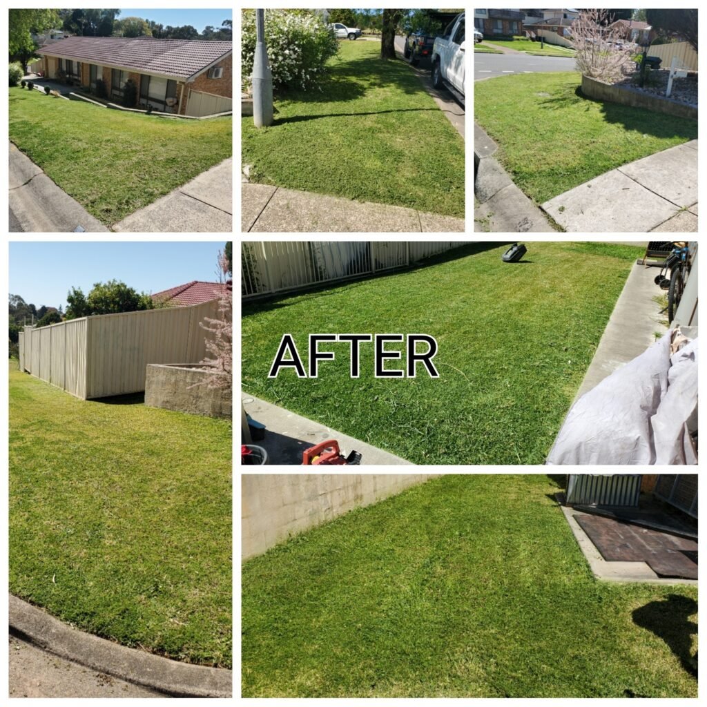 large lawn1